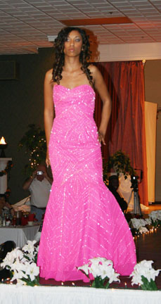 images/novogodnee/beauty%2520in%2520pink%2520dress.jpg